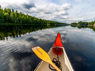 Adobestock 293565385