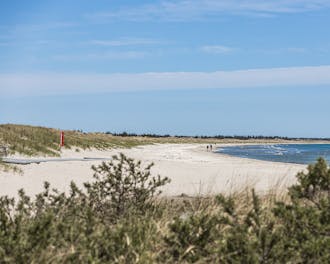 Strand i Ålbæk