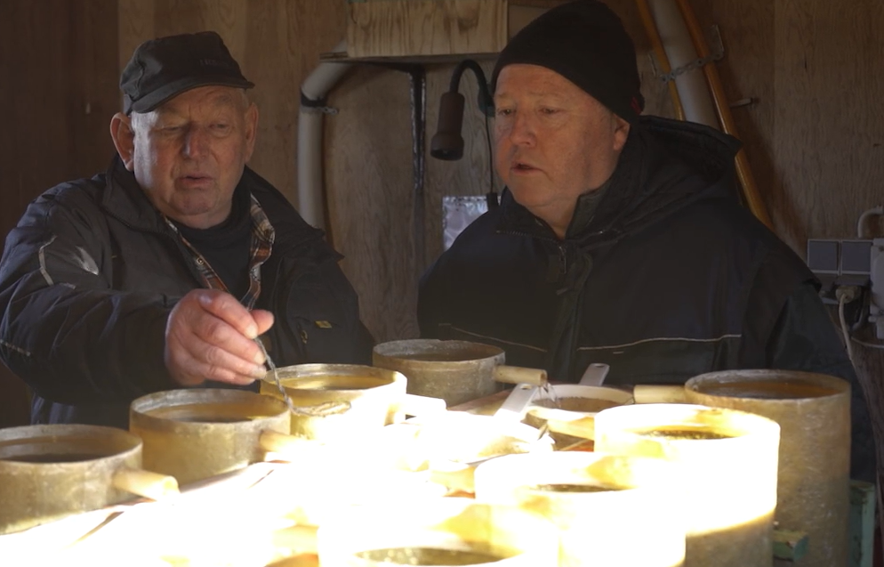 Skærmbillede Test