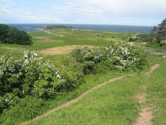 Møn-Stevns_Sydsjælland_Stensby - Petersværft