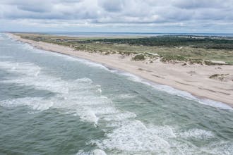 Strand ved Vedersø Klit