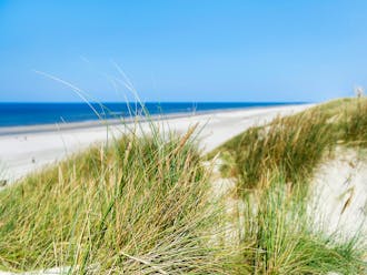 Fyn & øer_Langeland_Ristinge