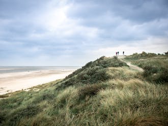 Vestjylland_Blåvand_Nationalpark Vadehavet