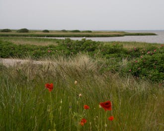 Limfjorden_Limfjord - Nordvest_Amtoft