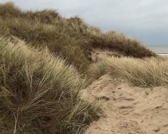 Nordjylland_Blokhus_Rødhus