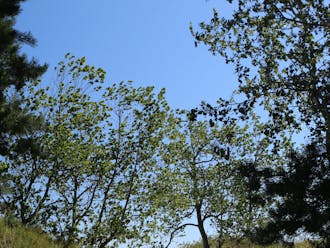 Bornholm_Gudhjem_Stammershalle