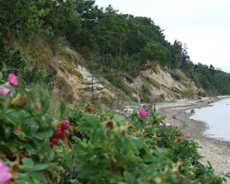 Limfjorden_Limfjord Sydvest_Thyholm