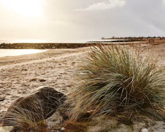 Sydøstjylland_Østkysten