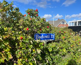 Vestjylland_Fanø_Rindby