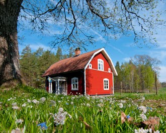 Adobestock 32092395 (1)