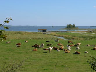 Rynningeviken Örebro 1