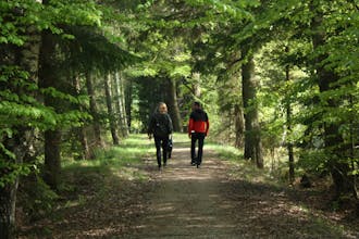 Gjerrild Jernbanesti