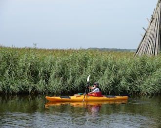 Vestjylland_Bork Havn_Bork Havn Hytteby