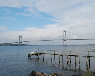 Fyn & øer_Langeland_Fredmose