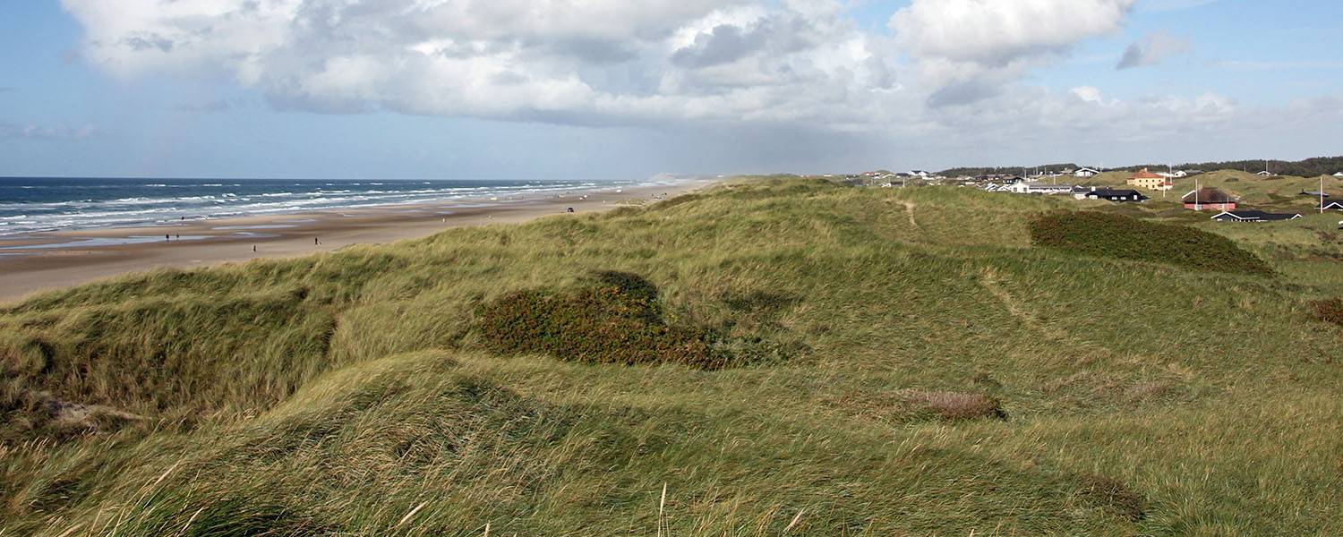 Ferienhäuser mieten in Løkken