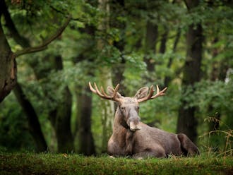 Adobestock 312512225