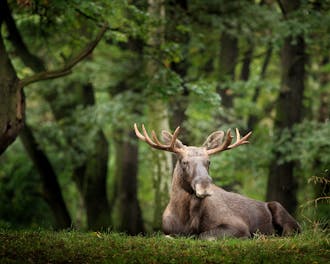 Adobestock 312512225