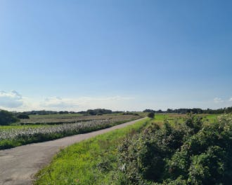 Fyn & øer_Langeland_Rudkøbing