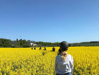 Nordjylland_Jammerbugten_Svinkløv Turridning