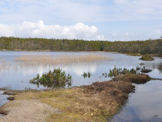 Vestjylland_Vedersø Klit_Husby Klitplantage