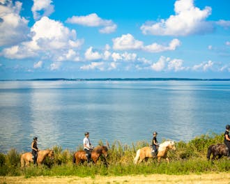 Fyn & øer_Sydfyn_Faldsled