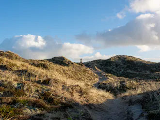 Klitlandskaber på en strand i Nordjylland