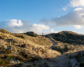 Klitlandskaber på en strand i Nordjylland
