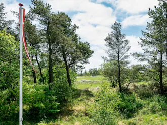 Udsigt over grønt område i Mosevrå