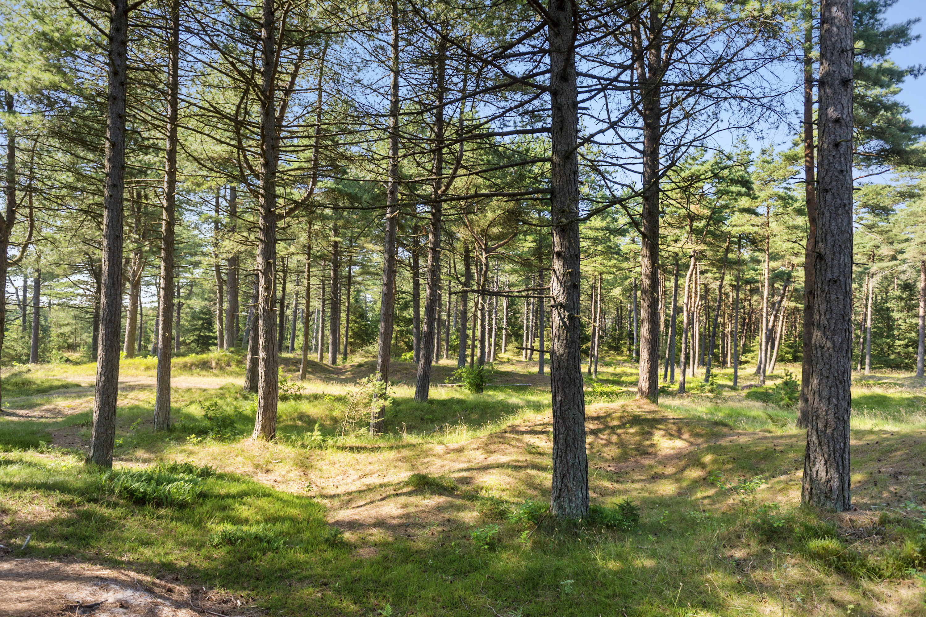 Sommerhuse til leje i Føns på Fyn | Feriepartner | Book her