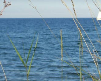 Møn-Stevns_Stevns_Strøby Ladeplads