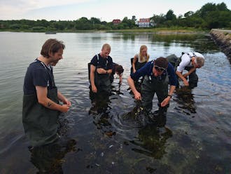 Deltagere til tangsafari med Dansk Tang