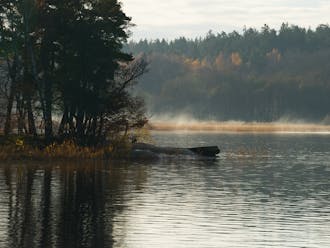 Adobestock 237629151