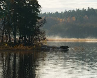 Adobestock 237629151