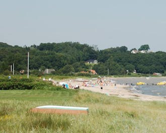 Fyn & øer_Nordvestfyn_Vejlby Fed