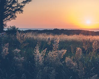 Nordjylland_Tversted