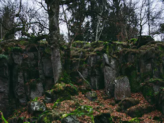 Bornholm_Aakirkeby_Almindingen2_@Destination Bornholm