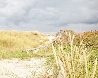 Badestrand ved Sejerø Bugt