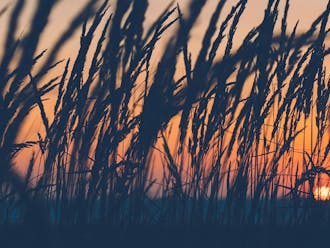 Nordjylland_Tversted_Tversted by