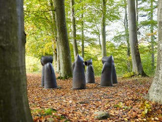 Odsherred_Isefjord_Ulkerup Skov