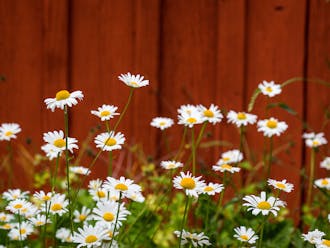 Adobestock 162251763