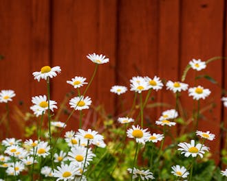 Adobestock 162251763