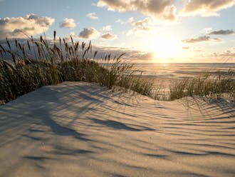 Møn-Stevns_Sydsjælland_Ore Strand @shutterstock