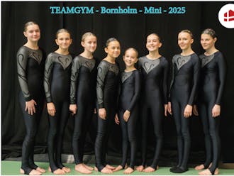 Teamgym2