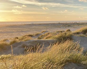 Vestjylland_Rømø_Lakolk