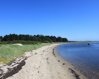 Limfjorden_Hjarbæk Fjord_Lundø