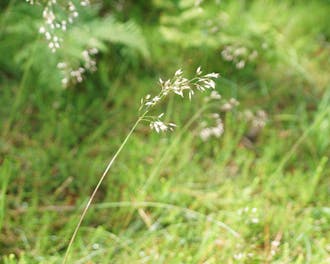 Jammerbugtens miljøcertificering