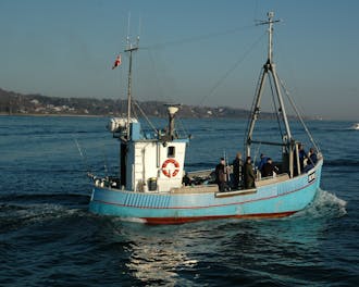 Bornholm_Allinge_Tejn