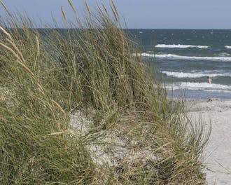 Nordjylland_Kattegat_Lyngså