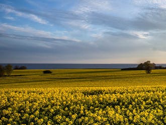 Møn-Stevns_Sydsjælland_Næs og Skaverup