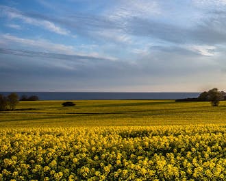 Møn-Stevns_Sydsjælland_Næs og Skaverup